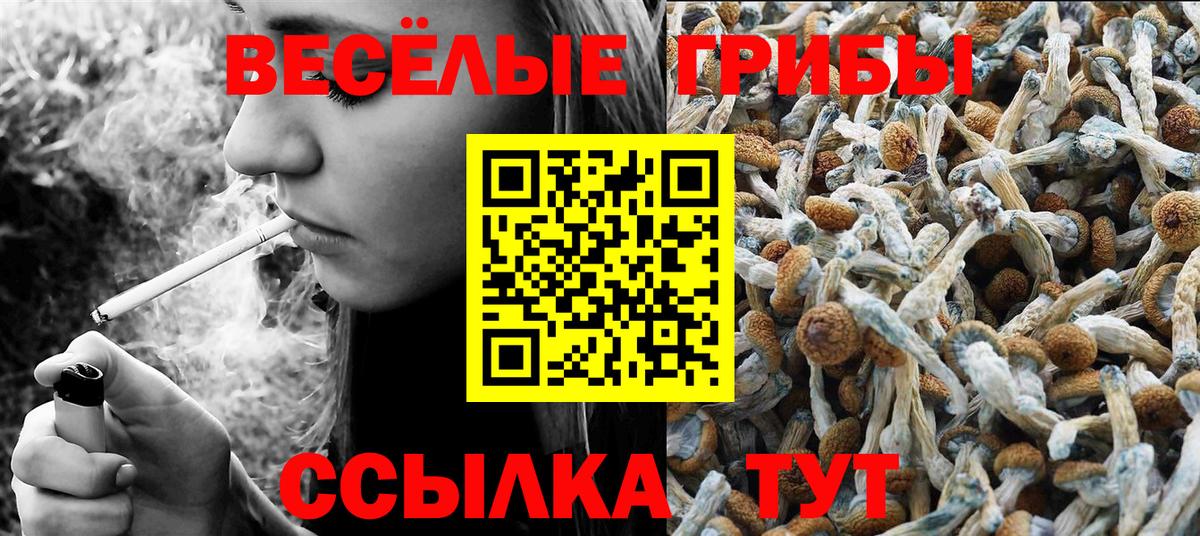 Галлюциногенные грибы Magic Shrooms Волжский