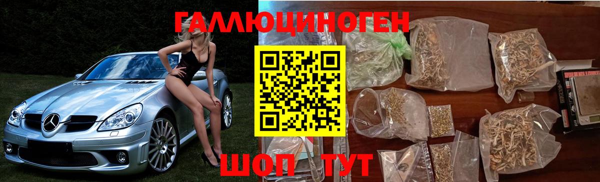 Волжский  Галлюциногенные грибы Cubensis  Вход с VPN  Псилоцибиновые грибы MAGIC MUSHROOMS 
